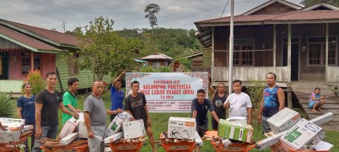PEMBAGIAN ALAT TANI