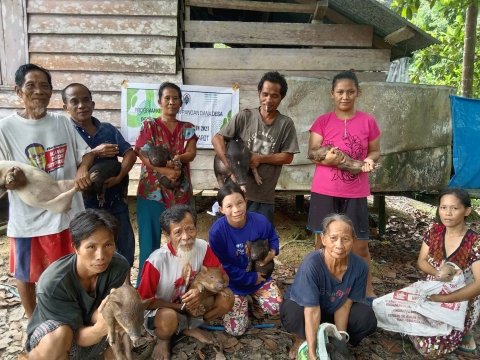 PEMBERIAN BANTUAN BIBIT TERNAK